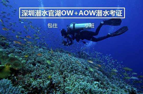 租号王号主助手-专业问答平台